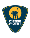 CIESSE PIUMINI